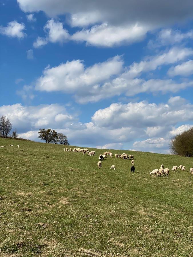 Anielska Chata Istebna Exteriér fotografie